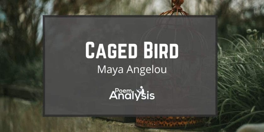 maya angelou i know why the caged bird sings meaning