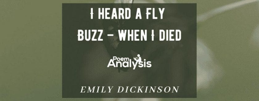 I heard a Fly Buzz - when I died by Emily Dickinson