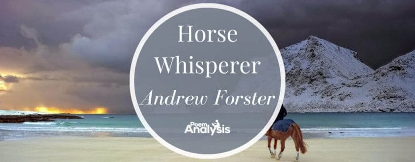 Horse Whisperer by Andrew Forster