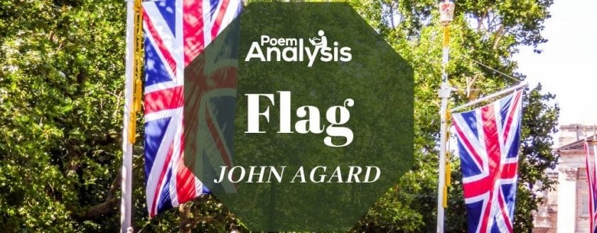 Flag By John Agard
