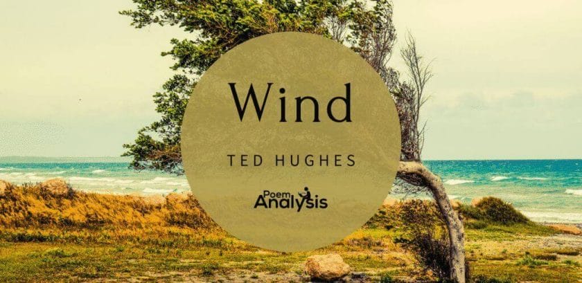 Wind by Ted Hughes