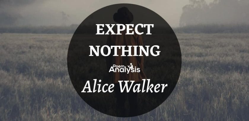 Expect Nothing by Alice Walker