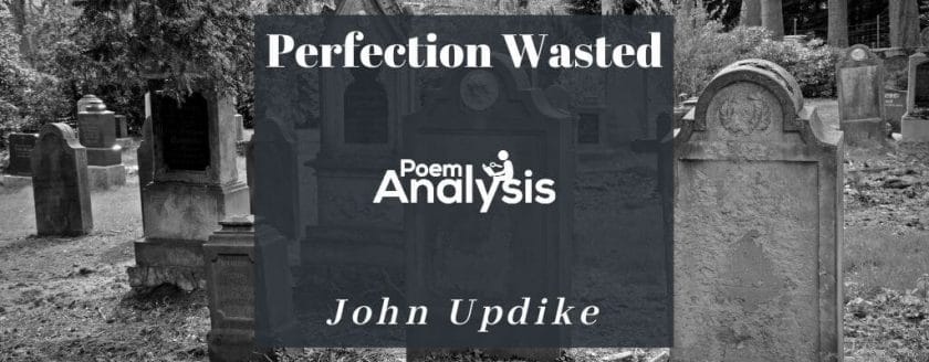 Perfection Wasted by John Updike