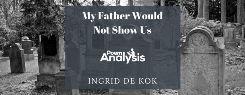 My Father Would Not Show Us by Ingrid de Kok