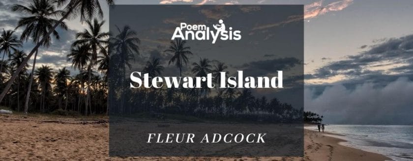 Stewart Island by Fleur Adcock