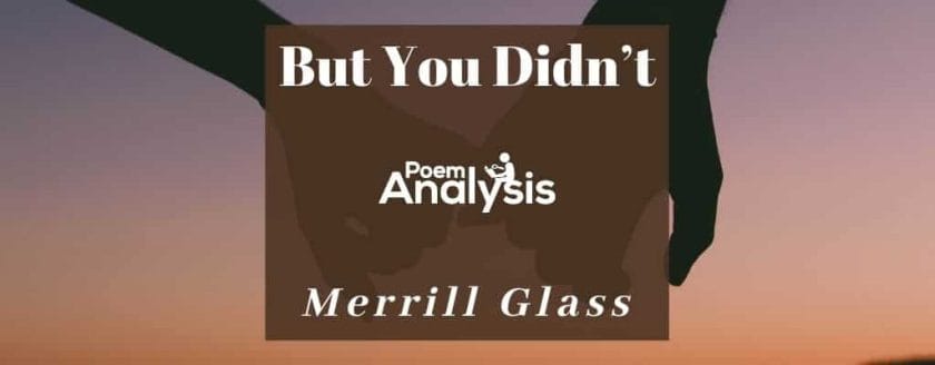 But You Didn’t by Merrill Glass