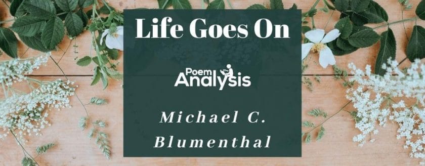 Life Goes On by Michael C. Blumenthal