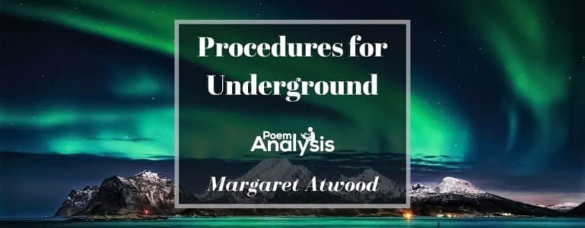 Procedures for Underground by Margaret Atwood