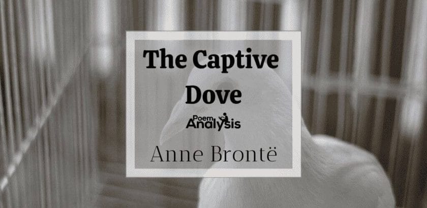 The Captive Dove by Anne Brontë