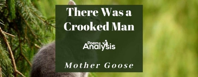 There Was a Crooked Man by Mother Goose