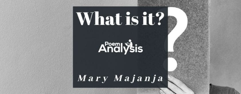 What is it? by Mary Majanja