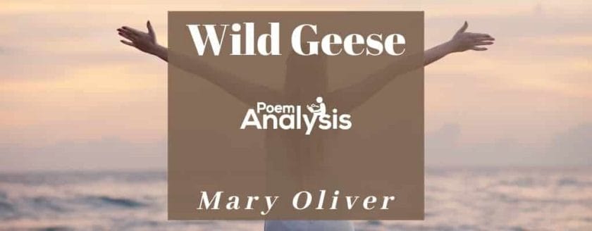 Wild Geese by Mary Oliver