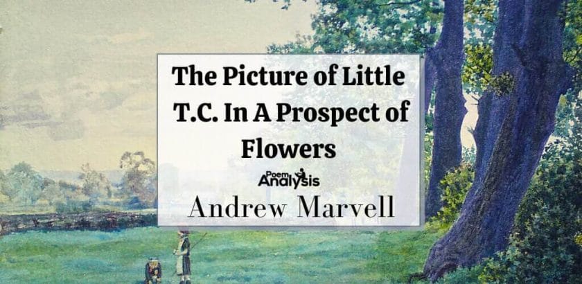 The Picture of Little T.C. In A Prospect of Flowers by Andrew Marvell