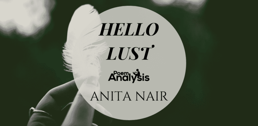 Hello Lust by Anita Nair
