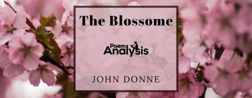 The Blossome by John Donne