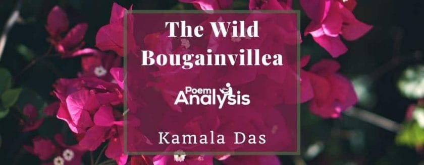 The Wild Bougainvillea by Kamala Das