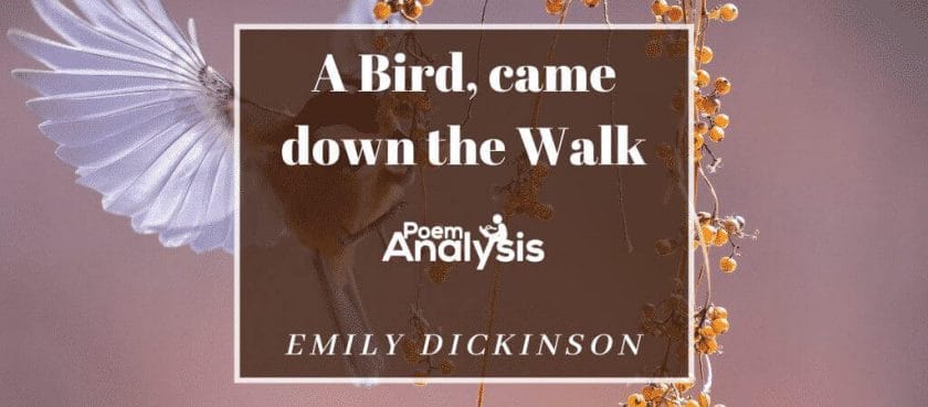 a bird came down the walk essay type questions