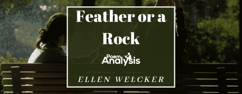 Feather or a Rock by Ellen Welcker