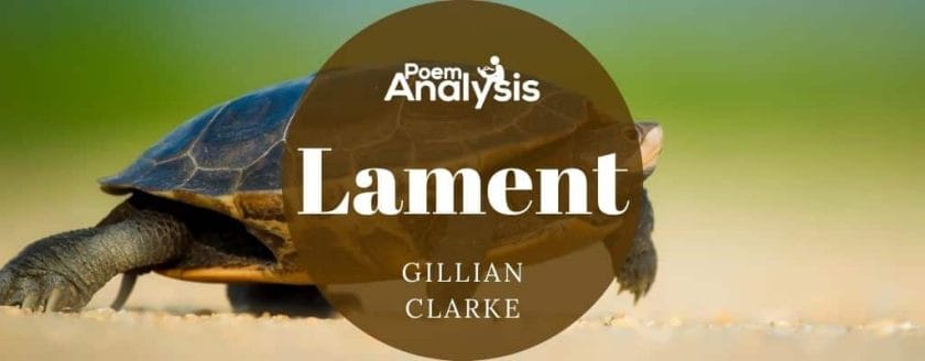 Lament by Gillian Clarke