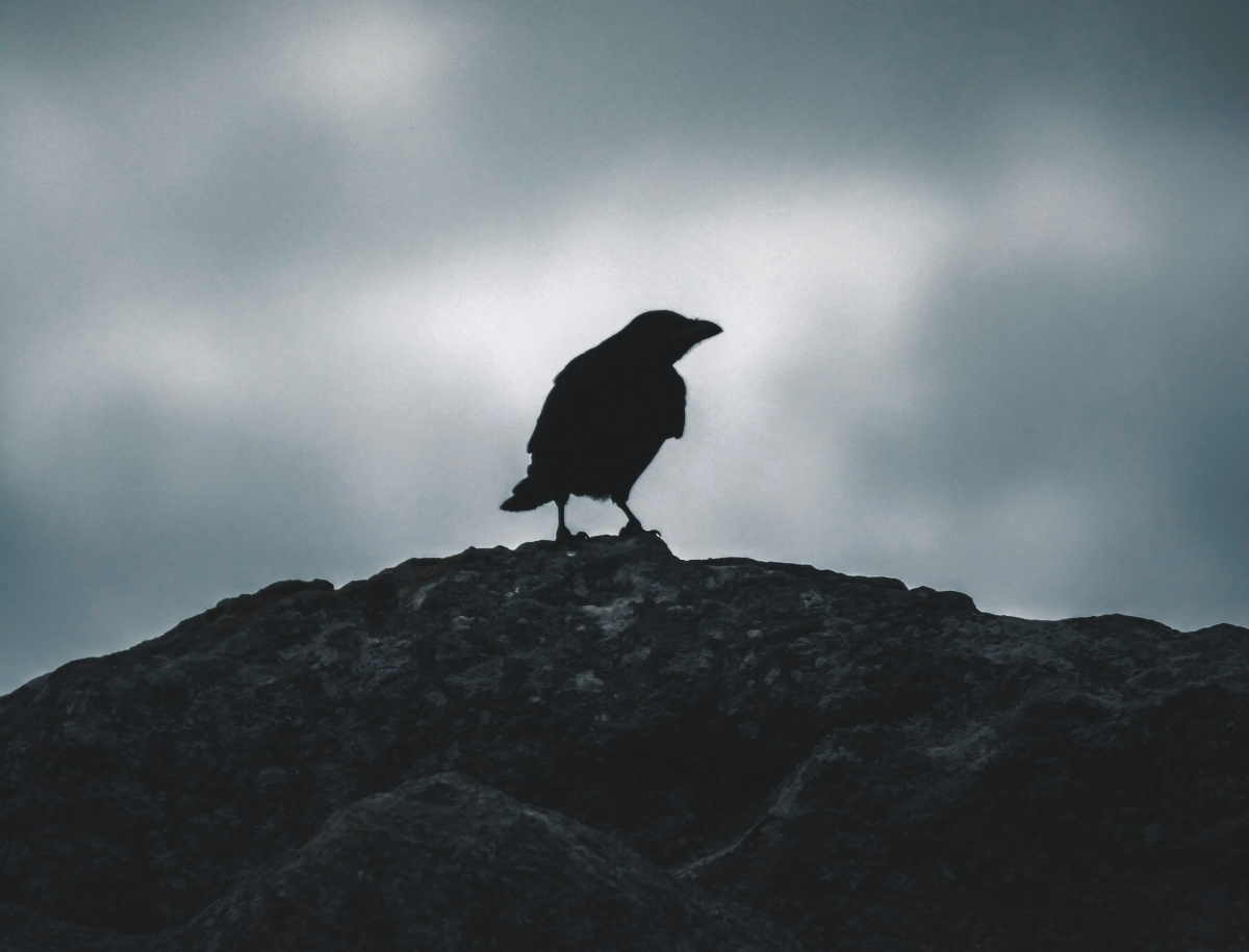 meaning of the poem the raven by edgar allan poe