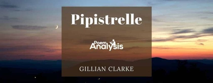 Pipistrelle by Gillian Clarke