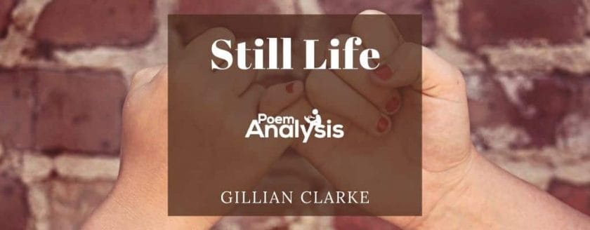 Still Life by Gillian Clarke