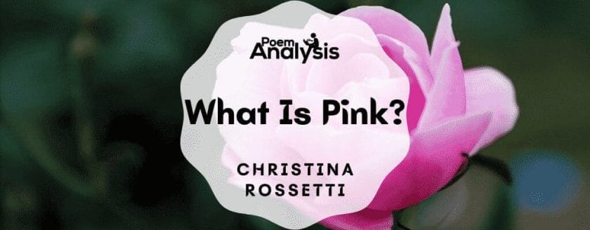 What Is Pink? by Christina Rossetti