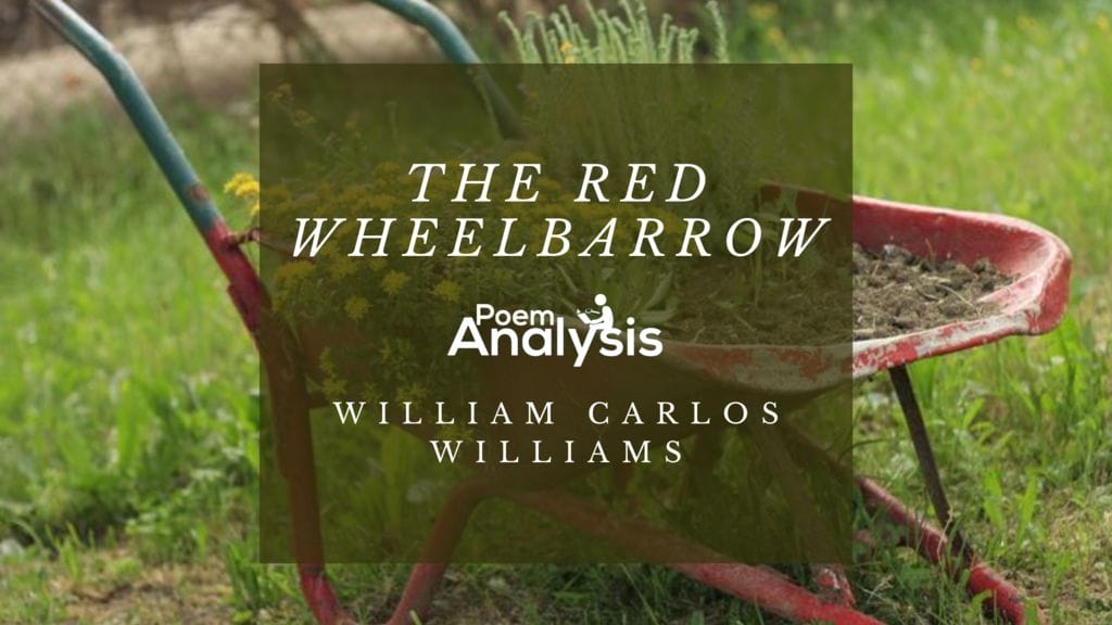 The Red Wheelbarrow by William Williams - Poem