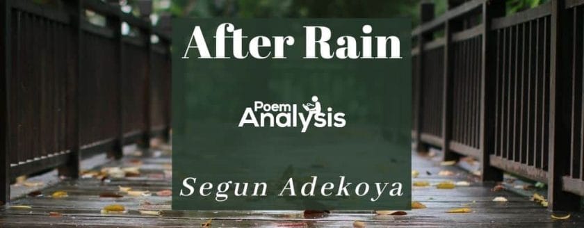 After Rain by Segun Adekoya