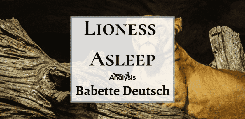 Lioness Asleep by Babette Deutsch