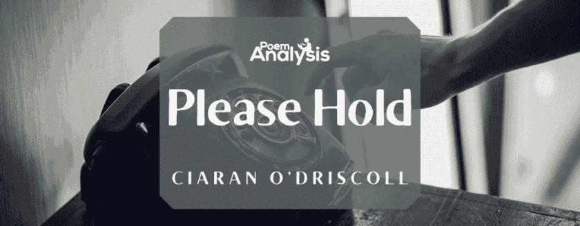Please Hold by Ciaran O’Driscoll