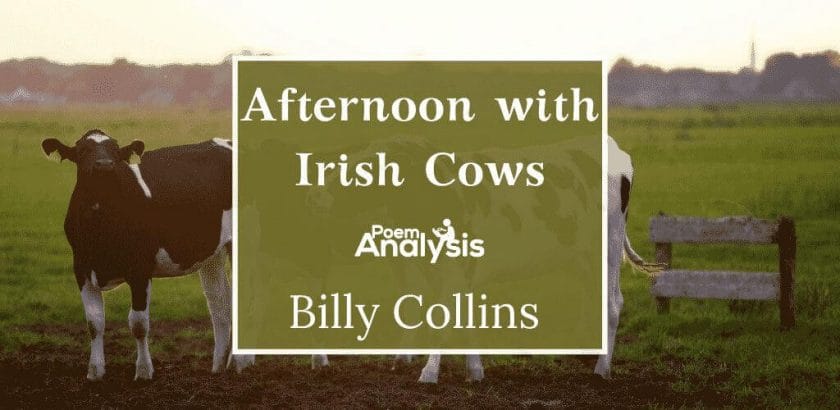 Afternoon with Irish Cows by Billy Collins