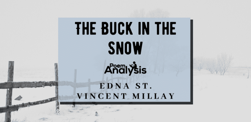 the buck in the snow