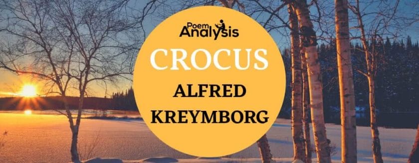 Crocus by Alfred Kreymborg