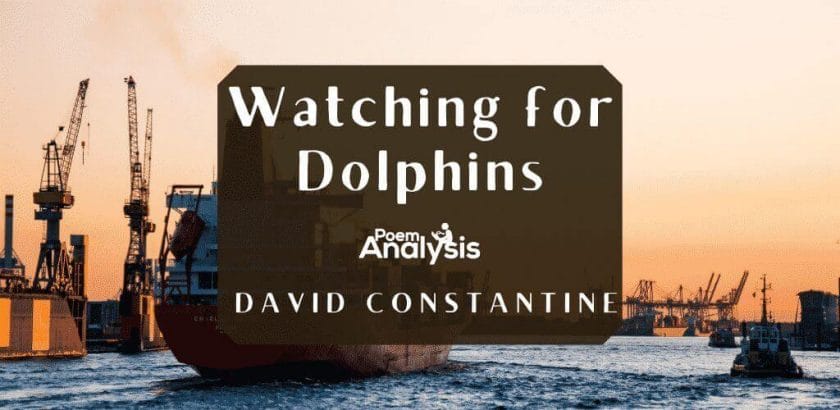 Watching for Dolphins by David Constantine