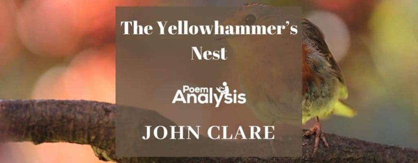 The Yellowhammer's Nest by John Clare