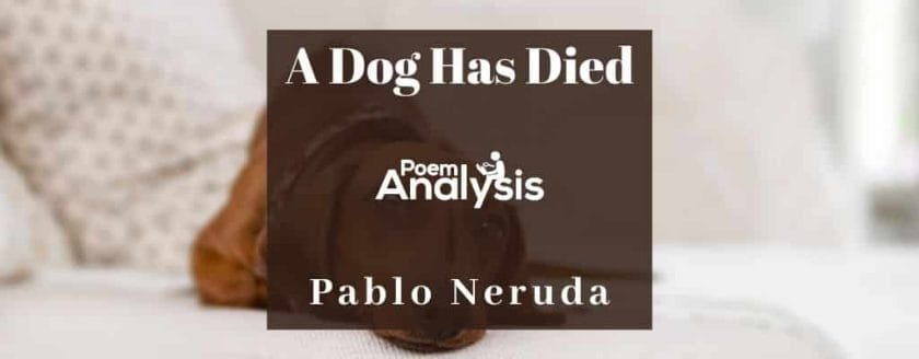 A Dog Has Died by Pablo Neruda