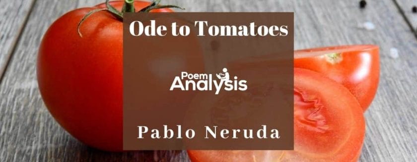 Ode to Tomatoes by Pablo Neruda