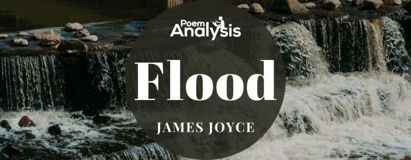 Flood by James Joyce