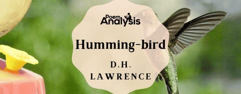 Humming-bird by D.H. Lawrence