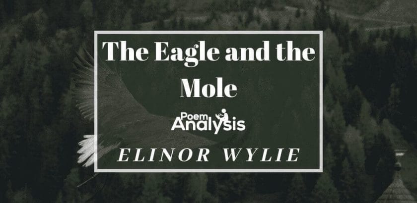 The Eagle and the Mole by Elinor Wylie