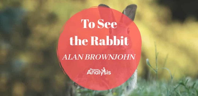 To See the Rabbit by Alan Brownjohn
