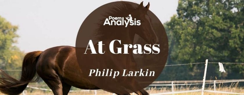 At Grass by Philip Larkin