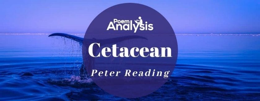 Cetacean by Peter Reading