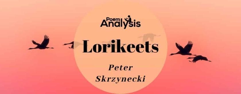 Lorikeets by Peter Skrzynecki