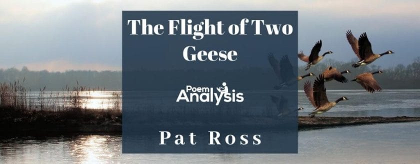 The Flight of Two Geese by Pat Ross
