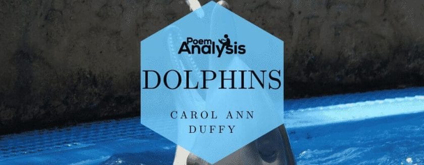 Dolphins by Carol Ann Duffy