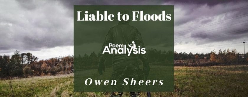 Liable to Floods by Owen Sheers