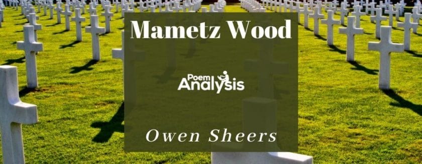 Mametz Wood by Owen Sheers