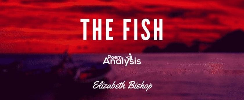 The Fish by Elizabeth Bishop